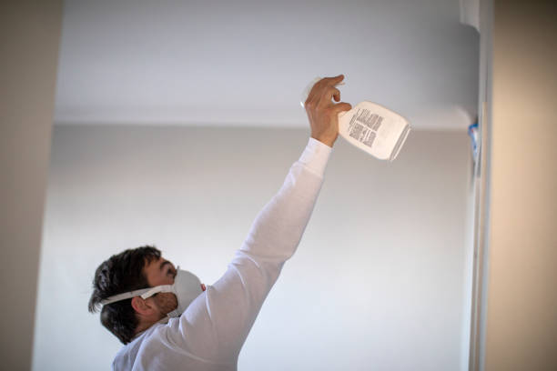 Best Mold Cleaning Services  in Chicopee, MA