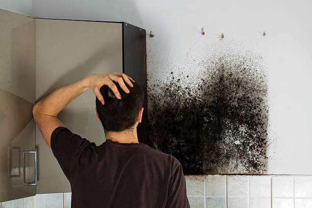 Water Damage Restoration in Chicopee, MA